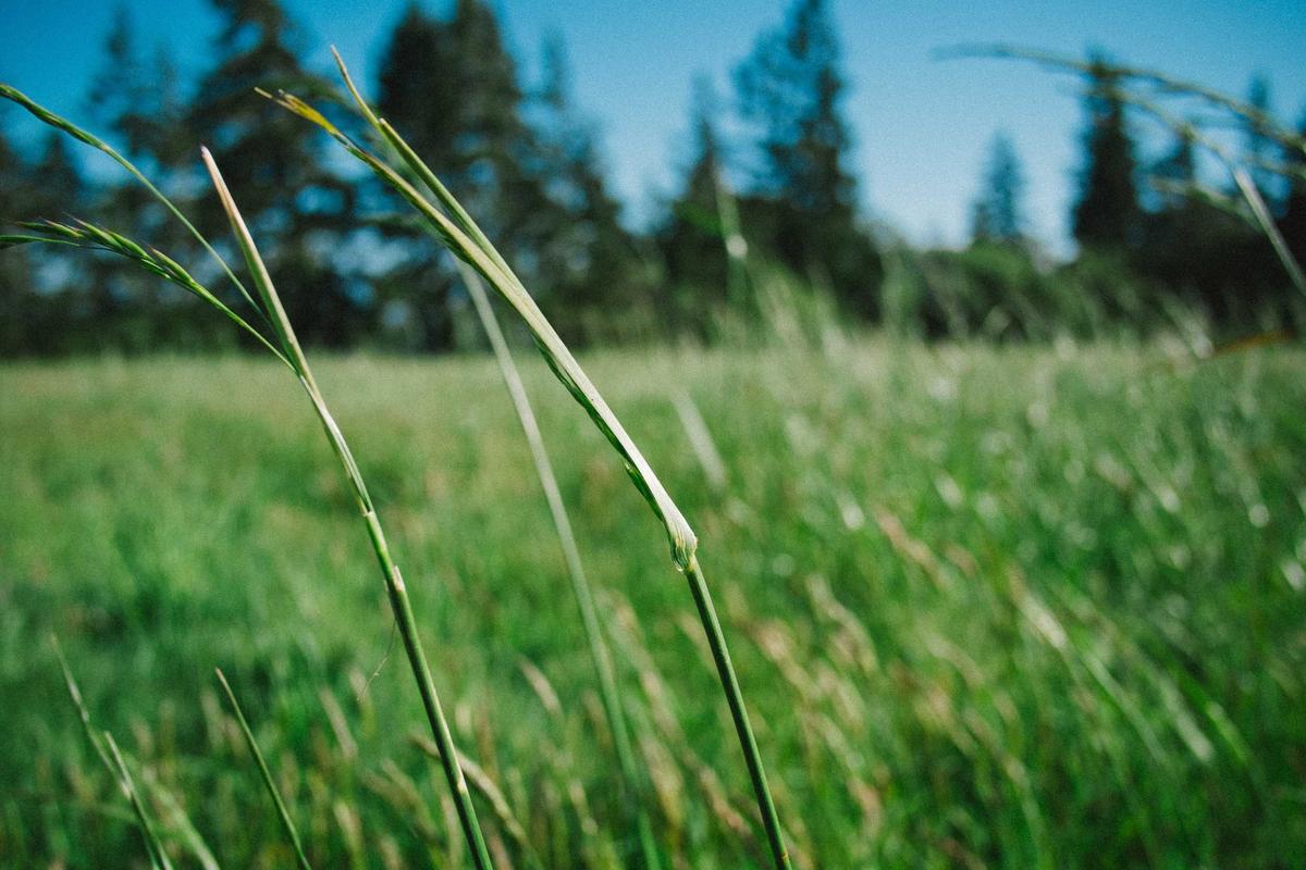 机场实拍：头部网红代言翻车，双方工作室齐声否认